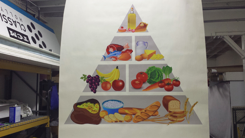 food chain